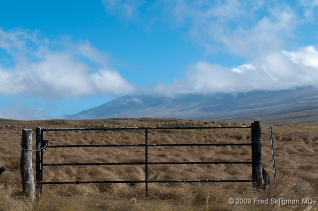 20091101_124214 D300f.jpg - View of Moana Kea from Belt Roadway, Hawaii (Big Island)